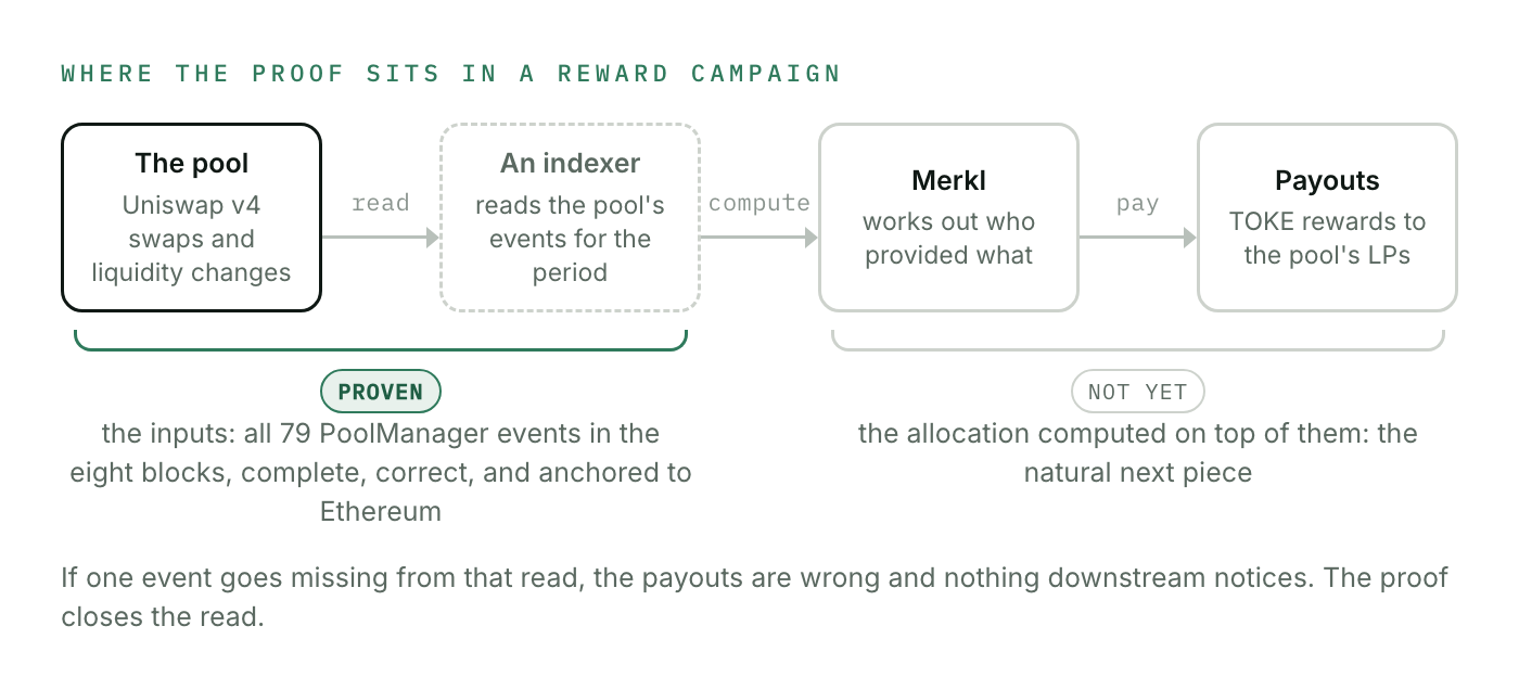 Where the proof sits in a reward campaign: the pool's events are read by an indexer, Merkl works out who earned what, and rewards are paid; the proof covers the read, all 79 PoolManager events across the eight blocks, and not yet the allocation computed on top